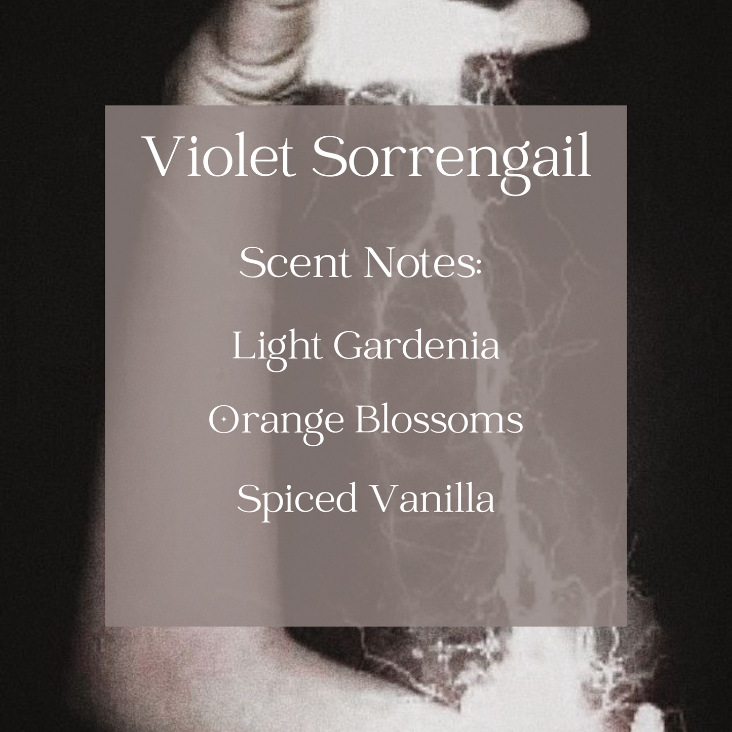 Violet Sorrengail (Empyrean-Inspired) Coconut Wax, Wooden Wick Candle